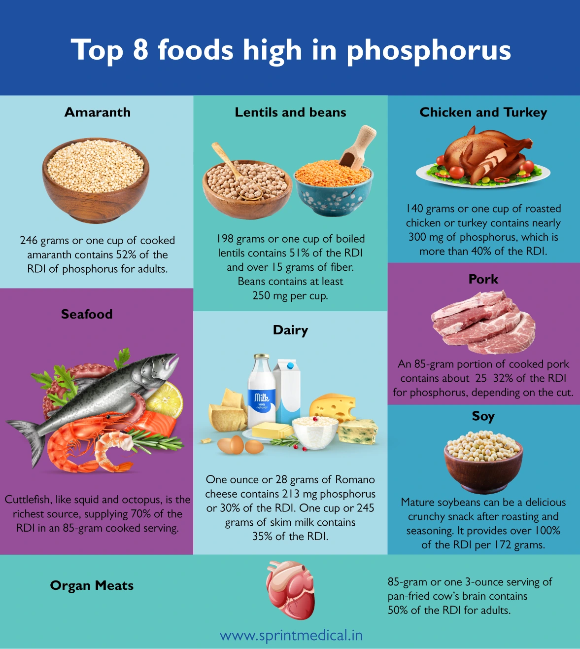 High Phosphorus Foods